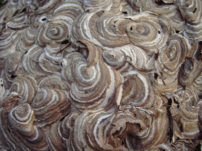 PICT0882.JPG