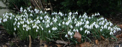 Frühling1809a.jpg