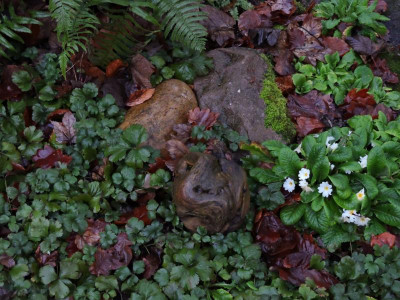 DSCN2941.JPG