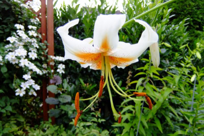 DSCF3066.JPG
