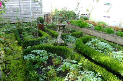 DSCF2576.JPG