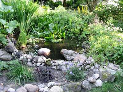 Gartenteich (Kopie).jpg