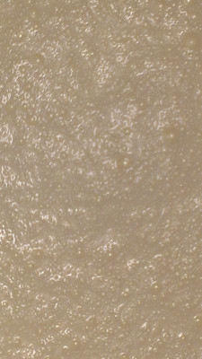 IMAG0472.jpg