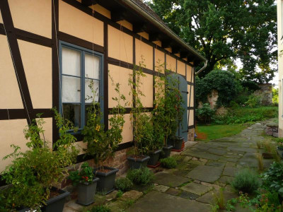 P1130264.jpg