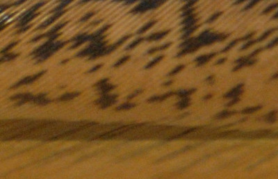 DSC_4106b.jpg