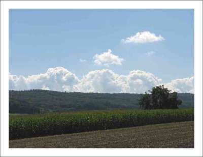CLOUDS_DO_3108_R.jpg