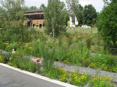 schöne Kiesbeete im alten Gleis.jpg