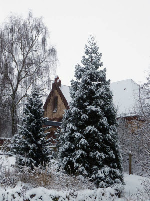 2016-01-17 Garteneinblick 1.jpg