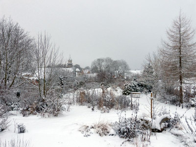 2016-01-17 Garteneinblick 2.jpg