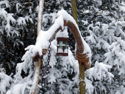 2016-01-17 Garteneinblick 3.jpg