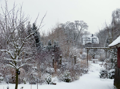 2016-01-17 Garteneinblick 4.jpg