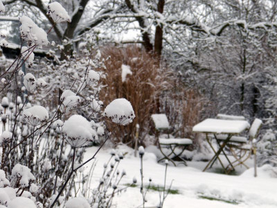 2016-01-17 Garteneinblick 5.jpg