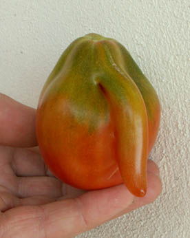 PICT4430.jpg