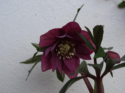 DSC04892.JPG