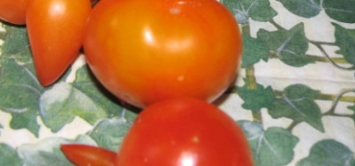 sx10.jpg