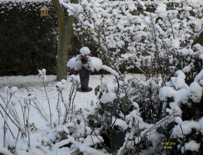 Schneekrabbler.jpg