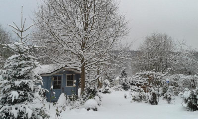 20160116_082345.jpg