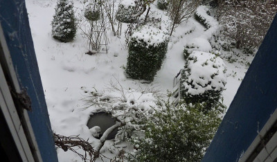 16.1, aus dem fenster.jpg