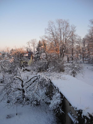 DSCN0189.JPG