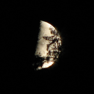 MOND_DO_3108_II.jpg