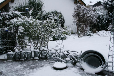 Winter0316.JPG