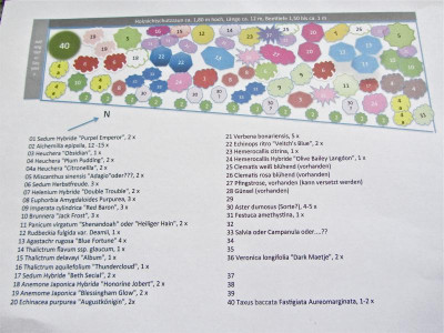Pflanzplan neues Beet fotografiert IMG_6694_2.jpg
