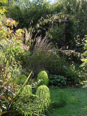 graeser_dschungel_garten.jpg