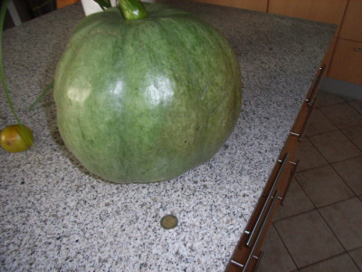 mama60_160.jpg