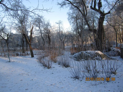 Anpflanzung  im Winter 2015.jpg