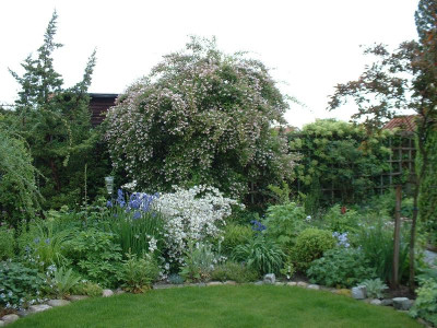 Mai2009_05.JPG