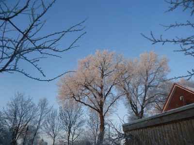 diverse unsortiert 004.JPG