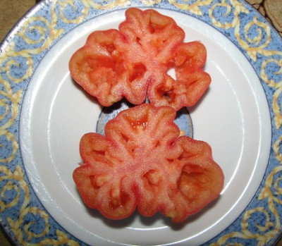 Zahnrad_30.08.06_001.jpg