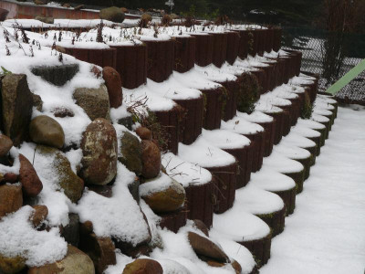 P1180554.JPG