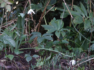 DSCF2728.JPG