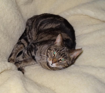 liese002.jpg