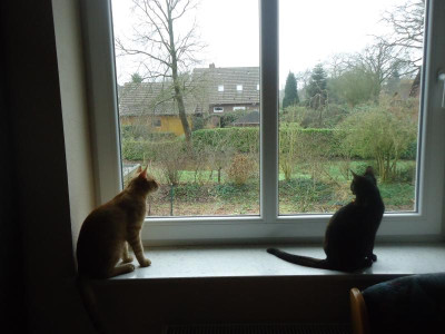 diverse unsortiert 004.JPG