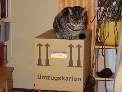 liese003.jpg