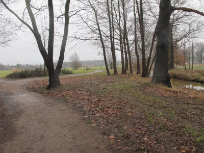 Weg 25.1.16 ue.JPG