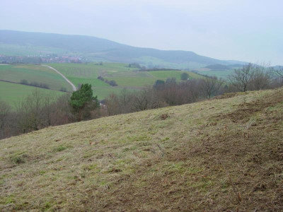 steilhangprojekt3.JPG