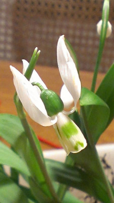IMAG0580.jpg