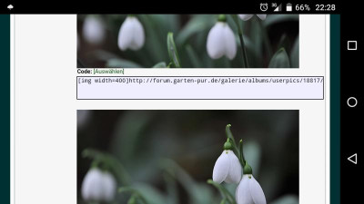 Screenshot_2016-01-27-22-28-10.png