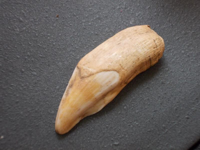 Fundstücke 019.JPG