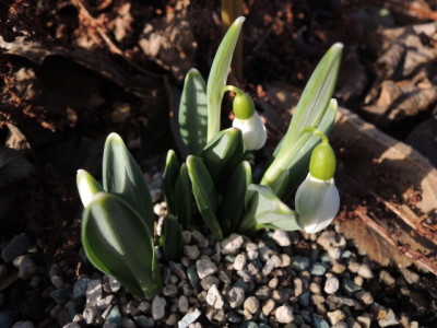DSCN8991_1129.JPG