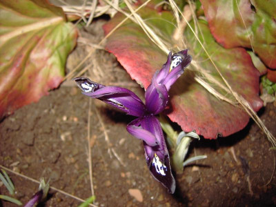 PICT0900.JPG