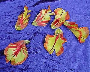 Tulpe_JSkl.jpg