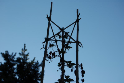 DSC_0346.JPG