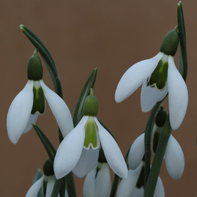 GRÜNE OSTERN_9380.JPG