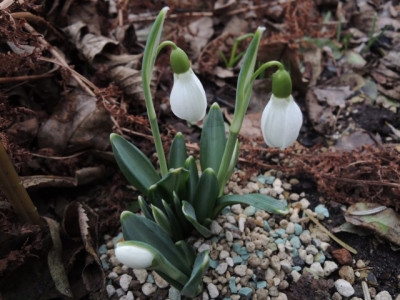 DSCN9028_1131.JPG