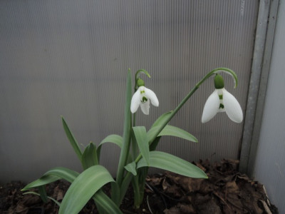 DSCN9075_1134.JPG