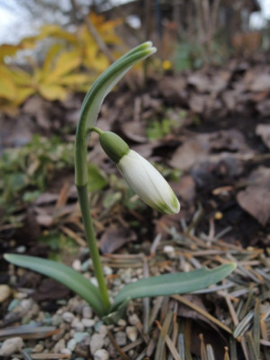 DSCN9069_1133.JPG